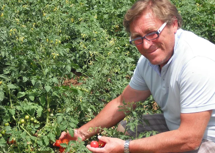 Azienda Agrituristica Baglio Carta Balestrate